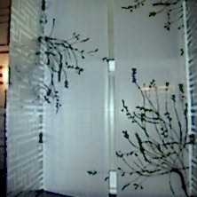 Motif Süslemeli, Cam Kapı